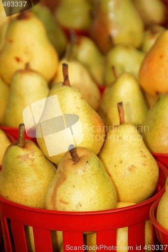 Image of Pears at the market