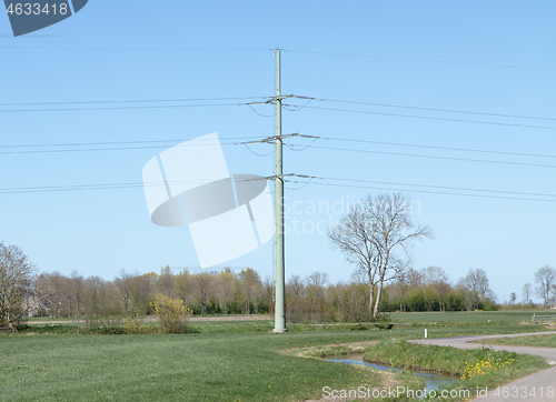 Image of Electricity pole in nature