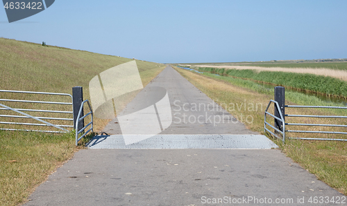 Image of Cattle grid in ground