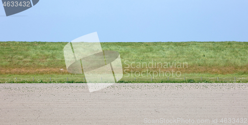 Image of Sideview of a large dyke in the Netherlands