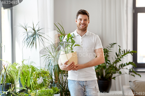 Image of man with flower taking care of houseplants at home