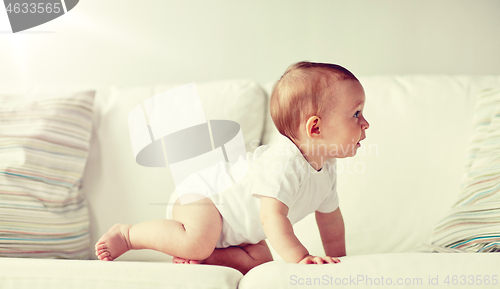 Image of little baby in diaper crawling along sofa at home