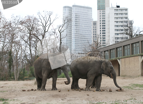 Image of Berlin, Germany - December 31, 2019: Landscape view of a Asian E