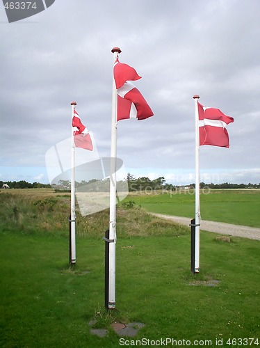 Image of National flags