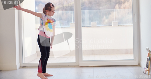 Image of girl online education ballet class at home