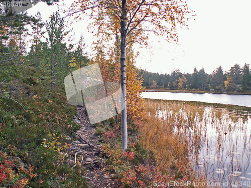 Image of Lake