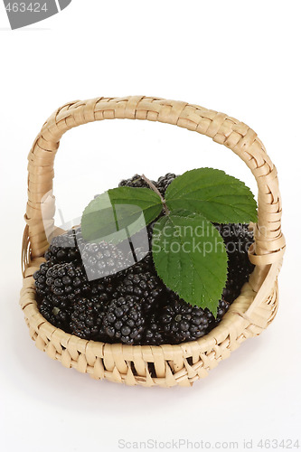 Image of In basket