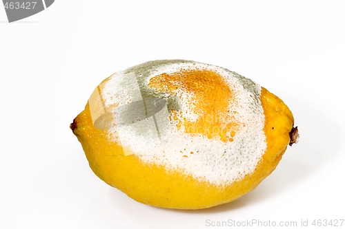 Image of Molded lemon