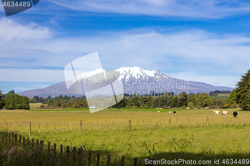 Image of Mount Ruapehu volcano in New Zealand