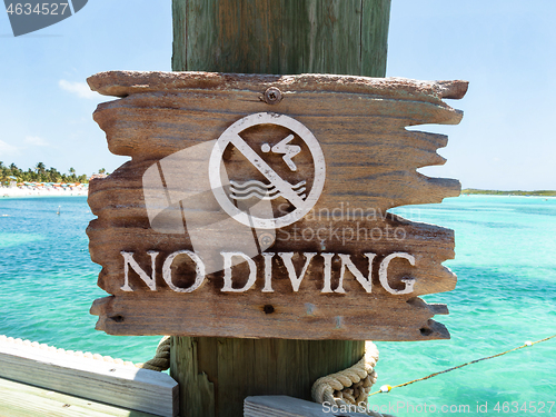 Image of No Diving Sign