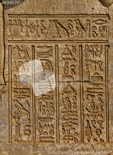 Image of ancient egypt hieroglyphics on wall