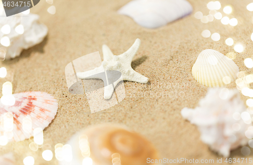 Image of starfish and seashells on beach sand