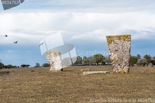 Image of Graveyard from the iron age with standing stones