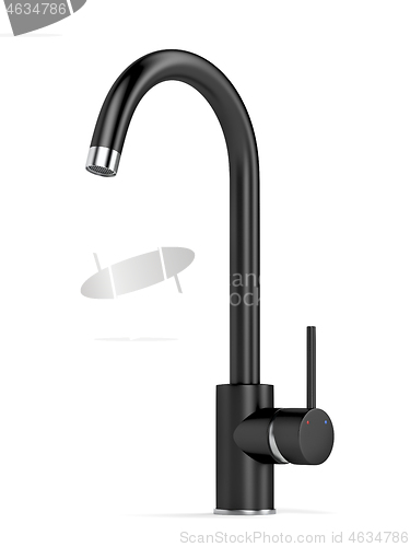 Image of Black kitchen faucet