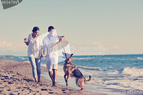 Image of happy family playing with dog on beach