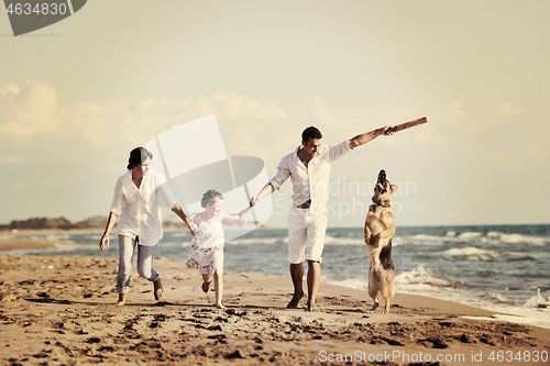 Image of happy family playing with dog on beach