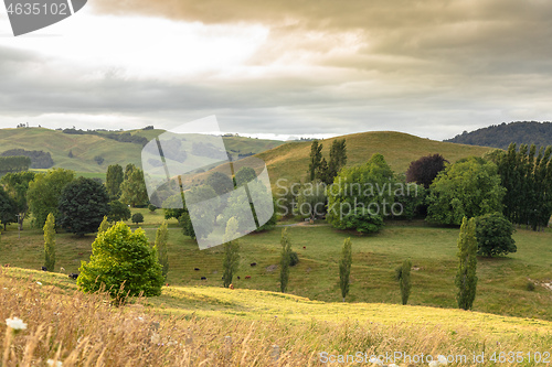 Image of typical rural landscape in New Zealand