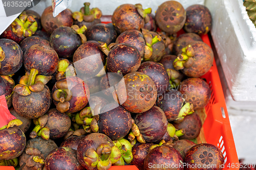 Image of Mangosteen Bunch