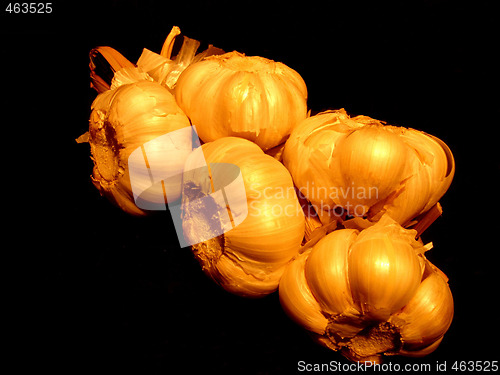Image of garlic
