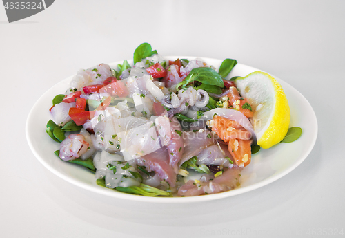 Image of Ceviche on a plate