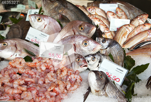 Image of Fresh fish and clams in a market