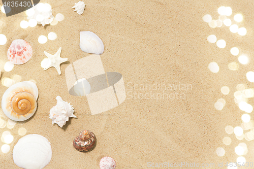 Image of seashells on beach sand