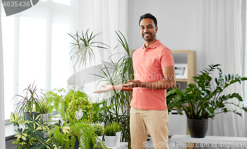 Image of indian man taking care of houseplants at home