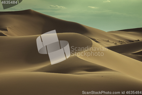 Image of Big sand dune in Sahara desert