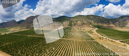 Image of Aerial view of mountain vineyard in Crimea