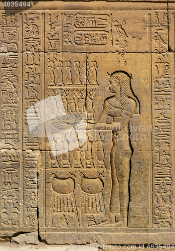 Image of Hieroglyphic carvings in ancient temple