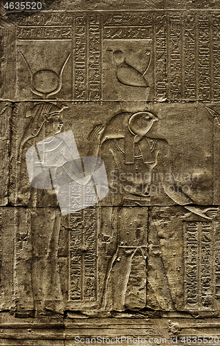 Image of Hieroglyphic carvings in ancient temple