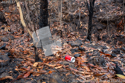 Image of Straight after bush fires people leave rubbish in the landscape