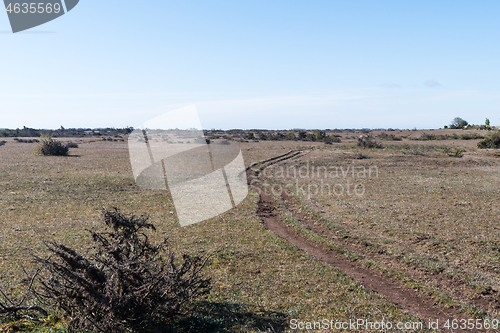 Image of Path used by cattle in a wide open landscape