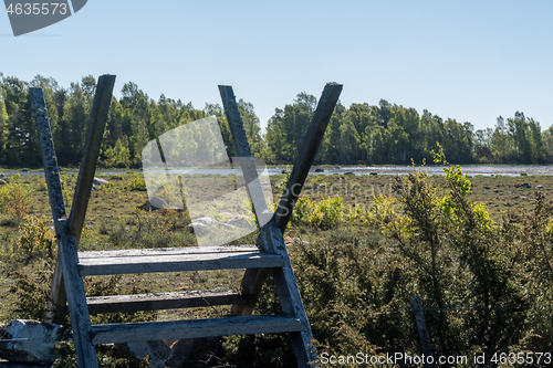 Image of Wooden stile by a wetland for exploring the nature