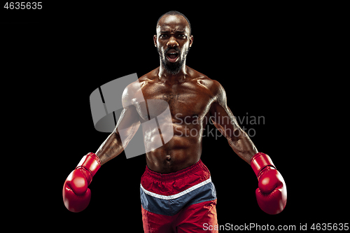 Image of Hand of boxer over black background. Strength, attack and motion concept