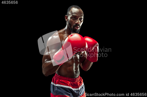 Image of Hand of boxer over black background. Strength, attack and motion concept