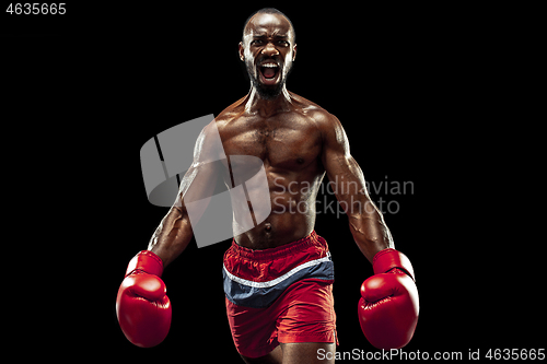 Image of Hand of boxer over black background. Strength, attack and motion concept