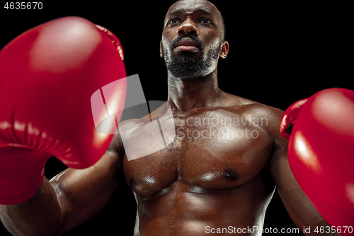 Image of Hand of boxer over black background. Strength, attack and motion concept