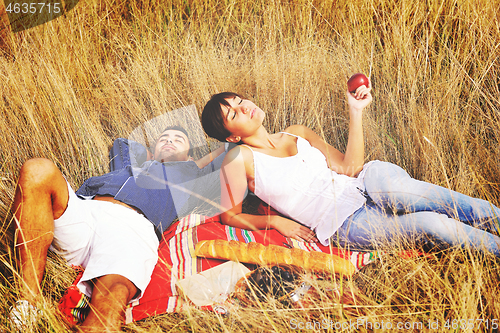 Image of happy couple enjoying countryside picnic in long grass