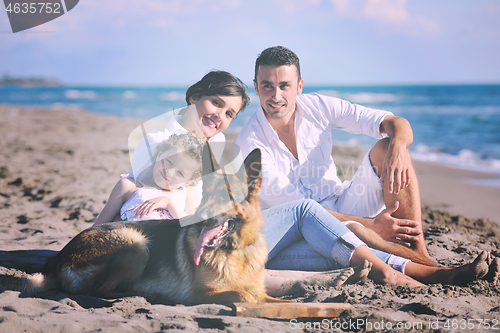 Image of happy family playing with dog on beach