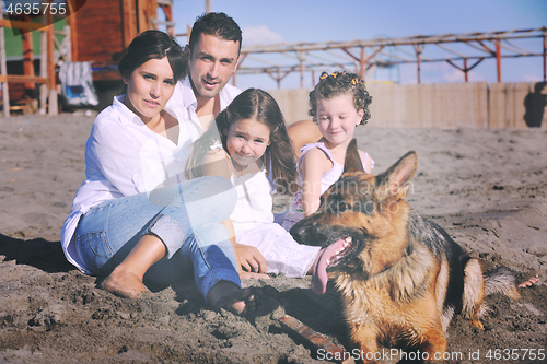 Image of happy family playing with dog on beach