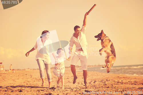 Image of happy family playing with dog on beach