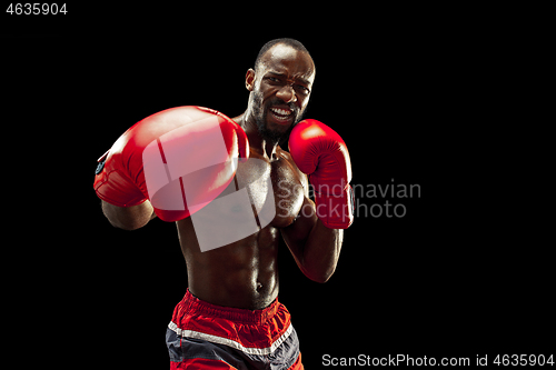 Image of Hand of boxer over black background. Strength, attack and motion concept