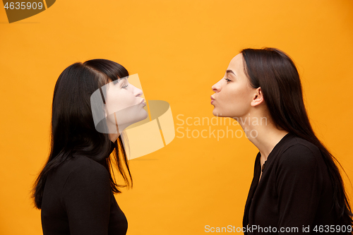 Image of A portrait of a happy mother and daughter