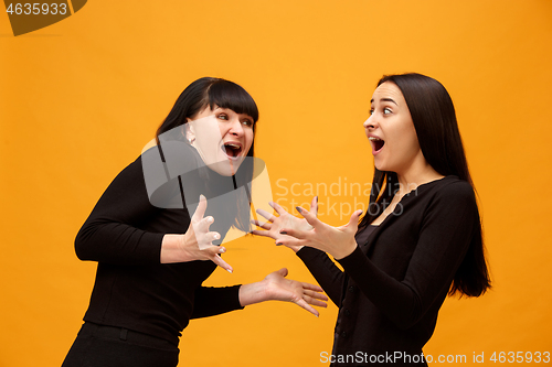 Image of A portrait of a surprised mother and daughter