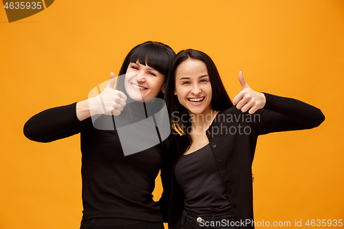 Image of A portrait of a happy mother and daughter