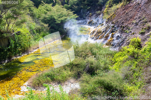 Image of volcanic activities at waimangu