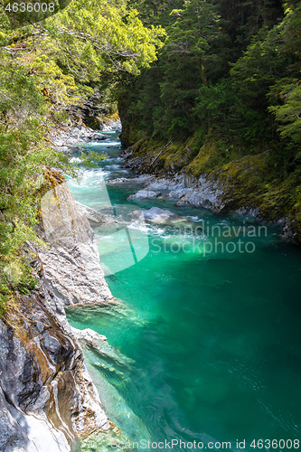 Image of Haast River Landsborough Valley New Zealand