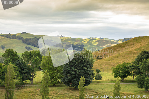 Image of typical rural landscape in New Zealand