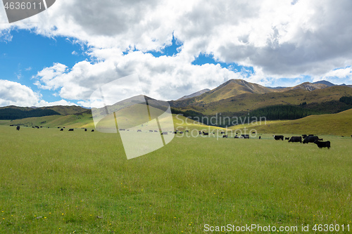 Image of Landscape scenery in south New Zealand